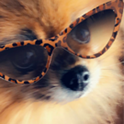Blue Flint Animal Hospital