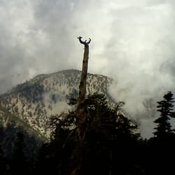 Etiwanda Peak Hike - Cloudy view from the peak