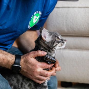 My Pets Safety - Pet Services Near Me - Twinsburg, Ohio My Pets Safety - Pet Services Near Me - Twinsburg, Ohio