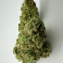 Dryden Dispensary - Diggidy.