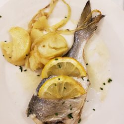 Los Herreros - Grouper with potatos!