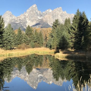 Jackson Hole Eco Tour Adventures - Tours Near Me - Jackson, Wyoming Jackson Hole Eco Tour Adventures - Tours Near Me - Jackson, Wyoming