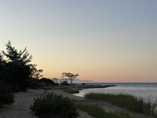 Crab Meadow Beach by null