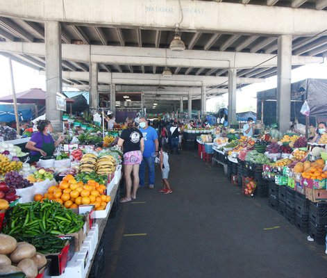 Canino Produce by null