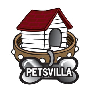 petsvilla - Pet Groomers Near Me - Staten Island, New York petsvilla - Pet Groomers Near Me - Staten Island, New York