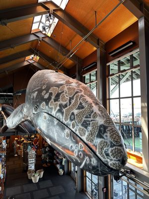 Santa Barbara Museum of Natural History Sea Center by null