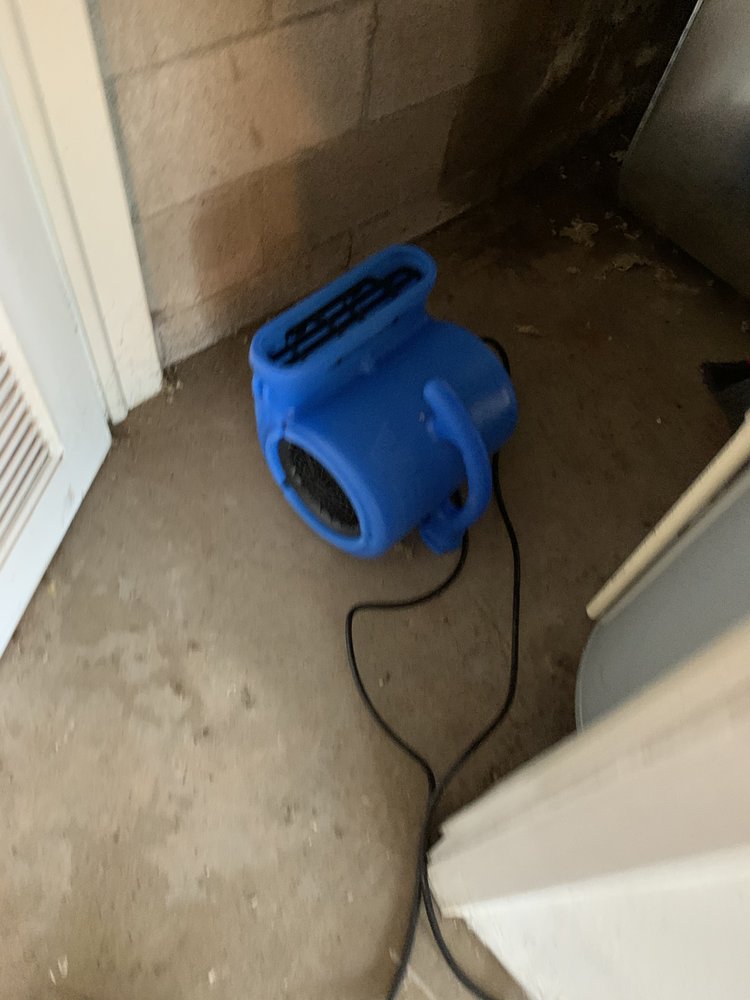 Slide of Hammock’s Restoration