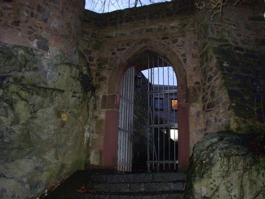 Frankenstein Castle by null