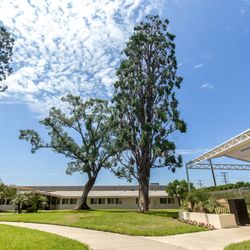 Artesia Palms Care Center