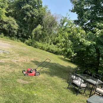 Mr Do It All - Cut back yard - Auto Repair Near Me Mr Do It All - Cut back yard - Auto Repair Near Me