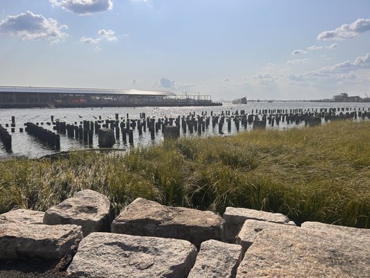 Brooklyn Heights Promenade by null