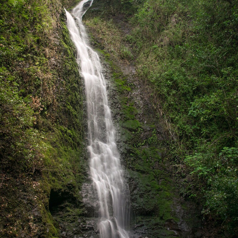 Lulumahu Falls - Hiking Near Me - Honolulu, Hawaii Lulumahu Falls - Hiking Near Me - Honolulu, Hawaii