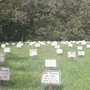 Photo of Whitegate Cemetery