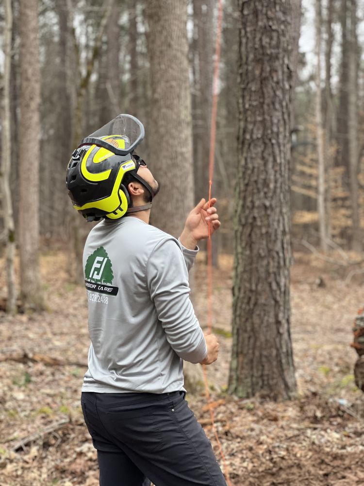 FJ Arbor Care - tree service in Atlanta, GA