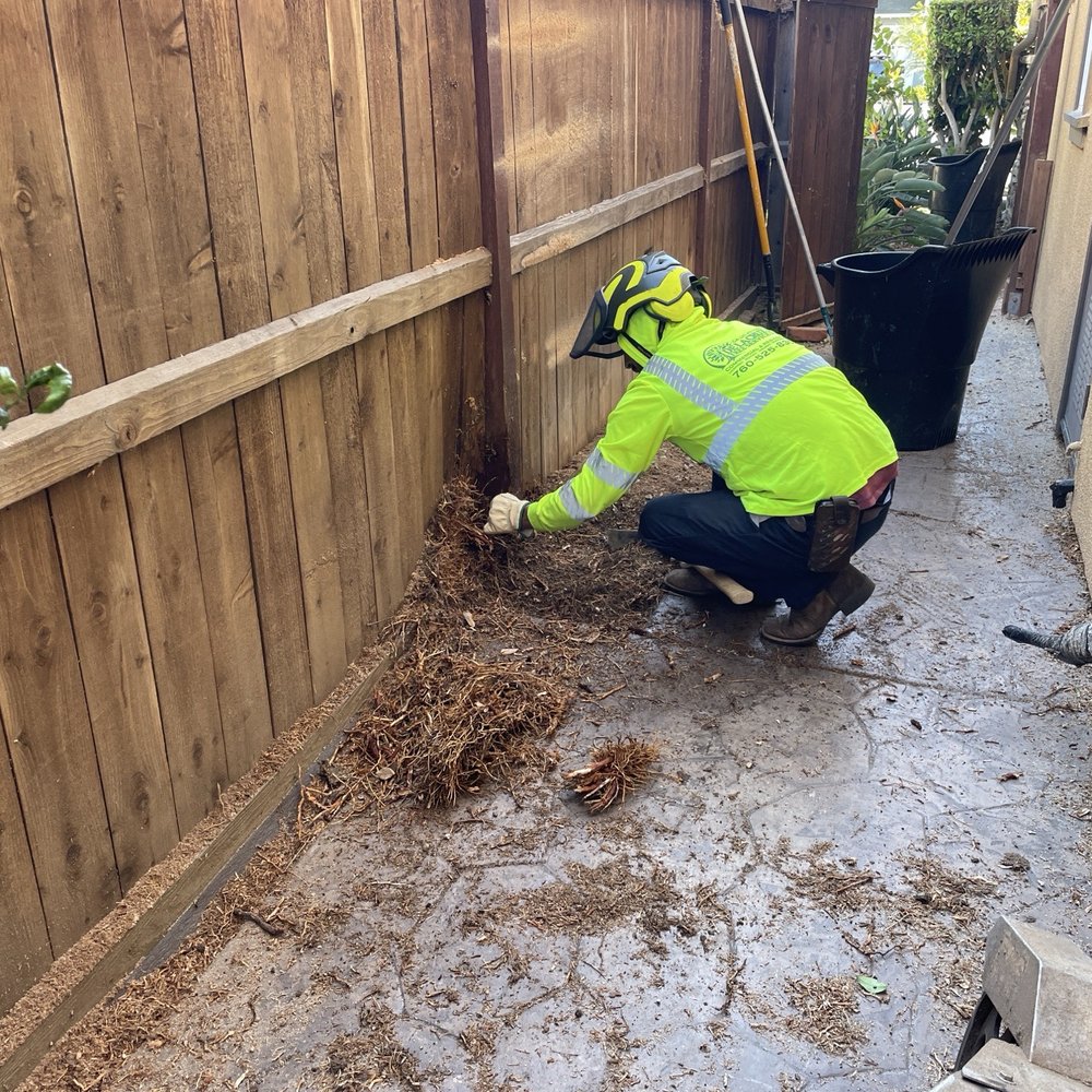De La Cruz Jr Tree Service - Pulling out the roots of the stump - Tree Services Near Me