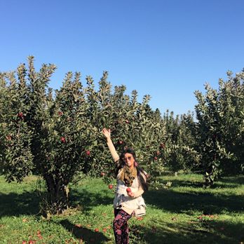 Honey Hill Orchard - Fruits & Veggies Near Me - Waterman, Illinois