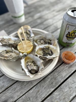 The Birds Cafe by null