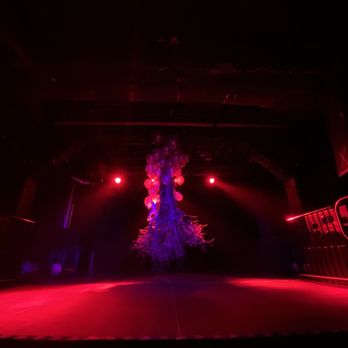 Club Space - A floating tree - Dance Clubs Near Me - Miami, Florida