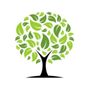Photo of Orange County Elite Tree Services