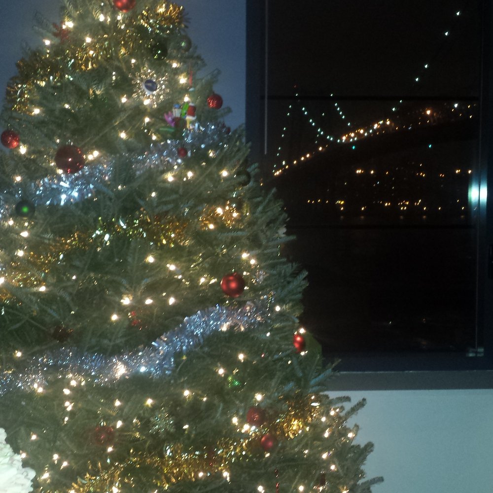 NYC Trees - Our nicest Christmas tree yet. - Christmas Trees Near Me - New York, New York NYC Trees - Our nicest Christmas tree yet. - Christmas Trees Near Me - New York, New York