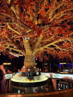 SUSHISAMBA London by null