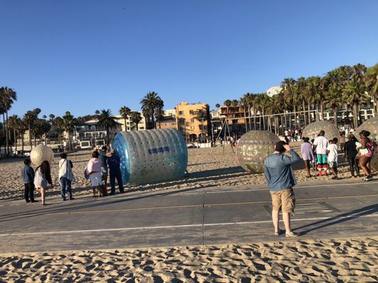 Original Muscle Beach Santa Monica by null