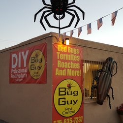 Bug Guy