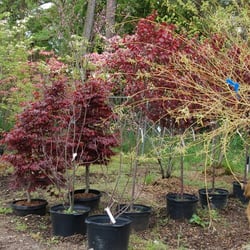 Hammett's Landscaping & Garden Center