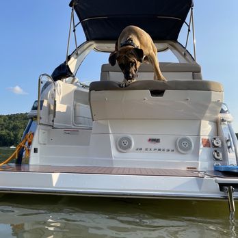Bark Bar & Grille - a dog standing on the back of a boat - Hot Dogs Near Me - Little Rock, Arkansas