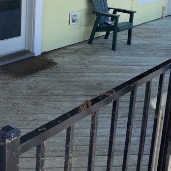 Twiddy - Railings so filthy we couldn't touch them. - Vacation Rentals Near Me - Duck, North Carolina