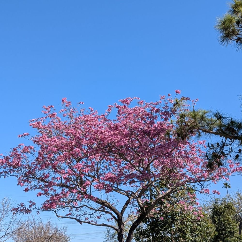 Wilderness Park - Parks Near Me - Downey, California Wilderness Park - Parks Near Me - Downey, California