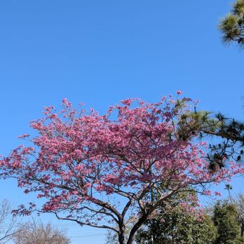 Wilderness Park - Parks Near Me - Downey, California Wilderness Park - Parks Near Me - Downey, California