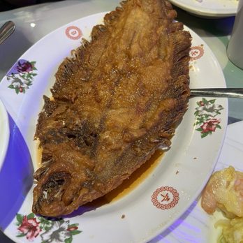 D & A Cafe - Deep Fried Flounder - Cantonese Near Me - San Francisco, California D & A Cafe - Deep Fried Flounder - Cantonese Near Me - San Francisco, California