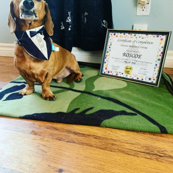 Sticks n Bones - Pet Training Near Me - Innisfil, Ontario Sticks n Bones - Pet Training Near Me - Innisfil, Ontario