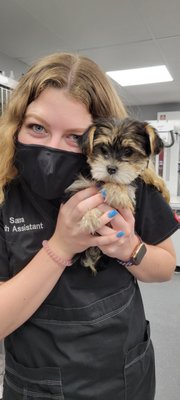 Lawndale Pet Hospital by null