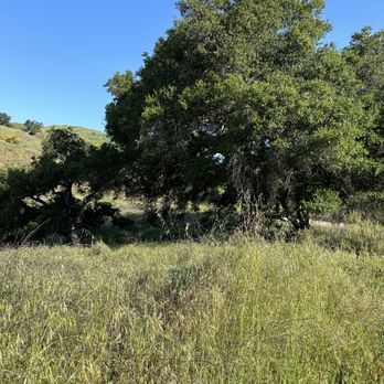 Harmon Canyon Preserve - Hiking Near Me - Ventura, California
