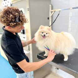 The Bark Bath Dog Wash