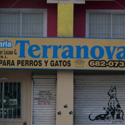 Veterinaria Terranova - Terranova