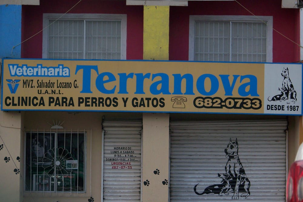 VETERINARIA TERRANOVA Updated October 2024 14 Reviews Calle 16 de