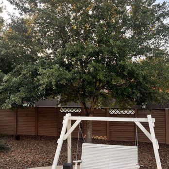 New Braunfels Tree Service Pros - Live Oak Tree - Tree Services Near Me - New Braunfels, Texas