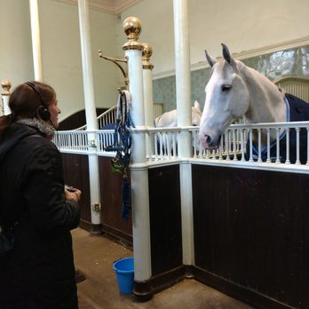 The Royal Mews - Museums Near Me - London, XGL