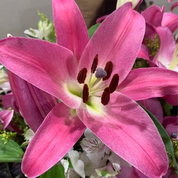 Zuniga Flowers - Arrangements - Florists Near Me - Los Angeles, California Zuniga Flowers - Arrangements - Florists Near Me - Los Angeles, California
