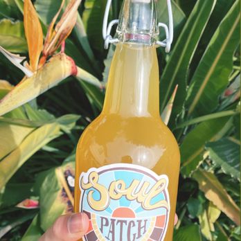 Soul Patch Kombucha - Mango Sunset - Kombucha Near Me
