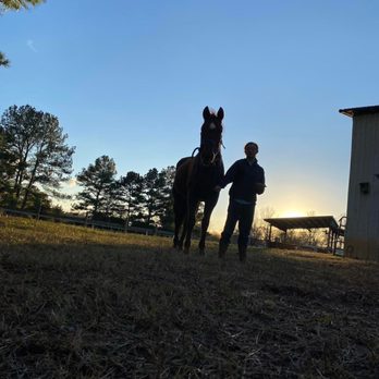 Still Waters Farm - Horseback Riding Near Me - Conover, North Carolina Still Waters Farm - Horseback Riding Near Me - Conover, North Carolina