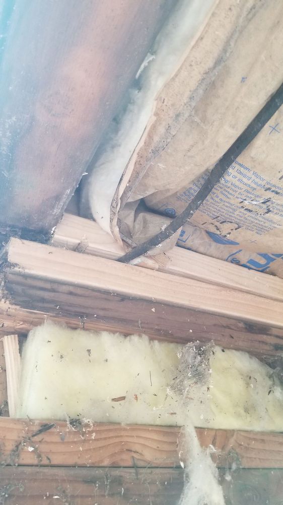 BELFOR PROPERTY RESTORATION Updated September 2024 587 Shelley St