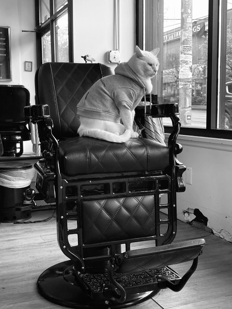 VALIANT BARBER COLLECTIVE Updated September 2024 37 Photos & 61