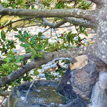 Japanese Gardens - Parks Near Me - San Mateo, California Japanese Gardens - Parks Near Me - San Mateo, California