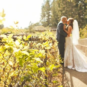 Orange Turtle Photography - Event Photography Near Me - San Diego, California