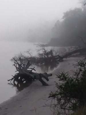 Crooked River State Park by null