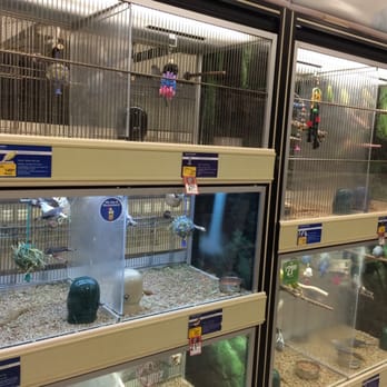PetSmart - Birds - Pet Stores Near Me - Gastonia, North Carolina